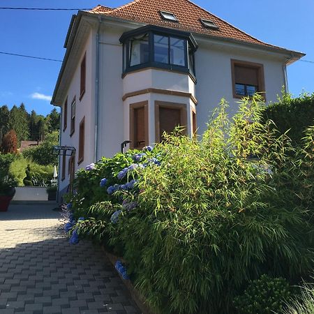 Les Magnolias En Alsace - Meuble De Tourisme 3 Etoiles Apartment Barembach ภายนอก รูปภาพ