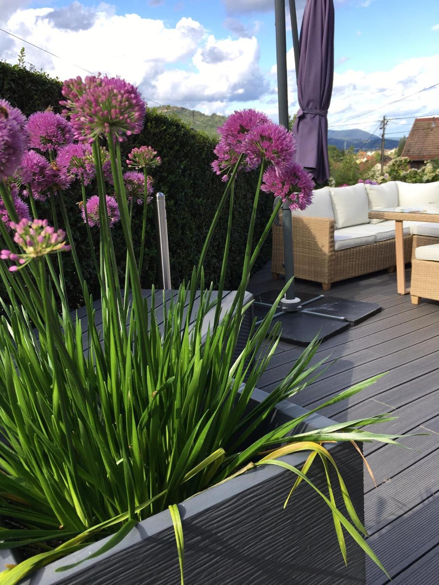 Les Magnolias En Alsace - Meuble De Tourisme 3 Etoiles Apartment Barembach ภายนอก รูปภาพ