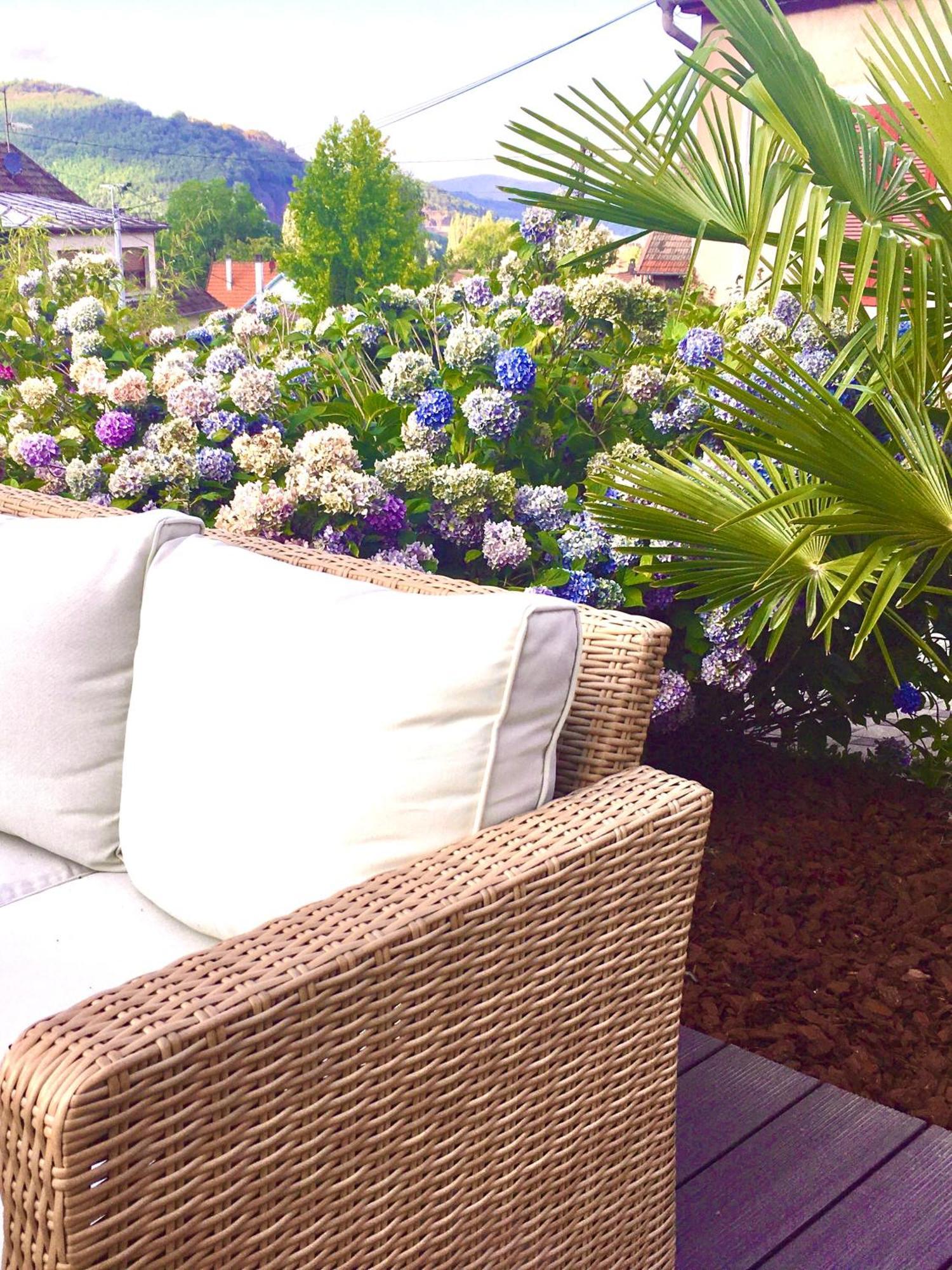 Les Magnolias En Alsace - Meuble De Tourisme 3 Etoiles Apartment Barembach ภายนอก รูปภาพ