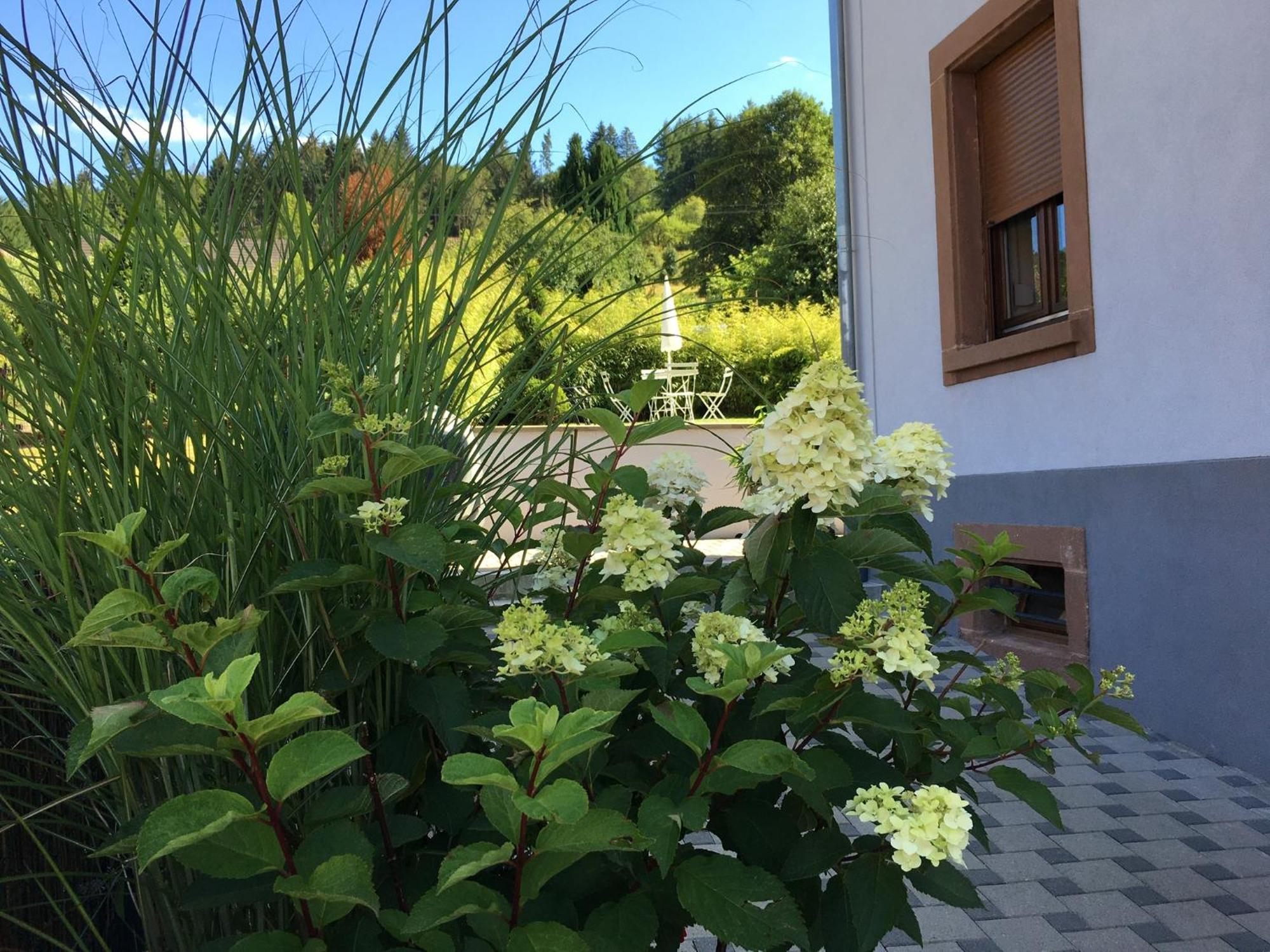 Les Magnolias En Alsace - Meuble De Tourisme 3 Etoiles Apartment Barembach ภายนอก รูปภาพ