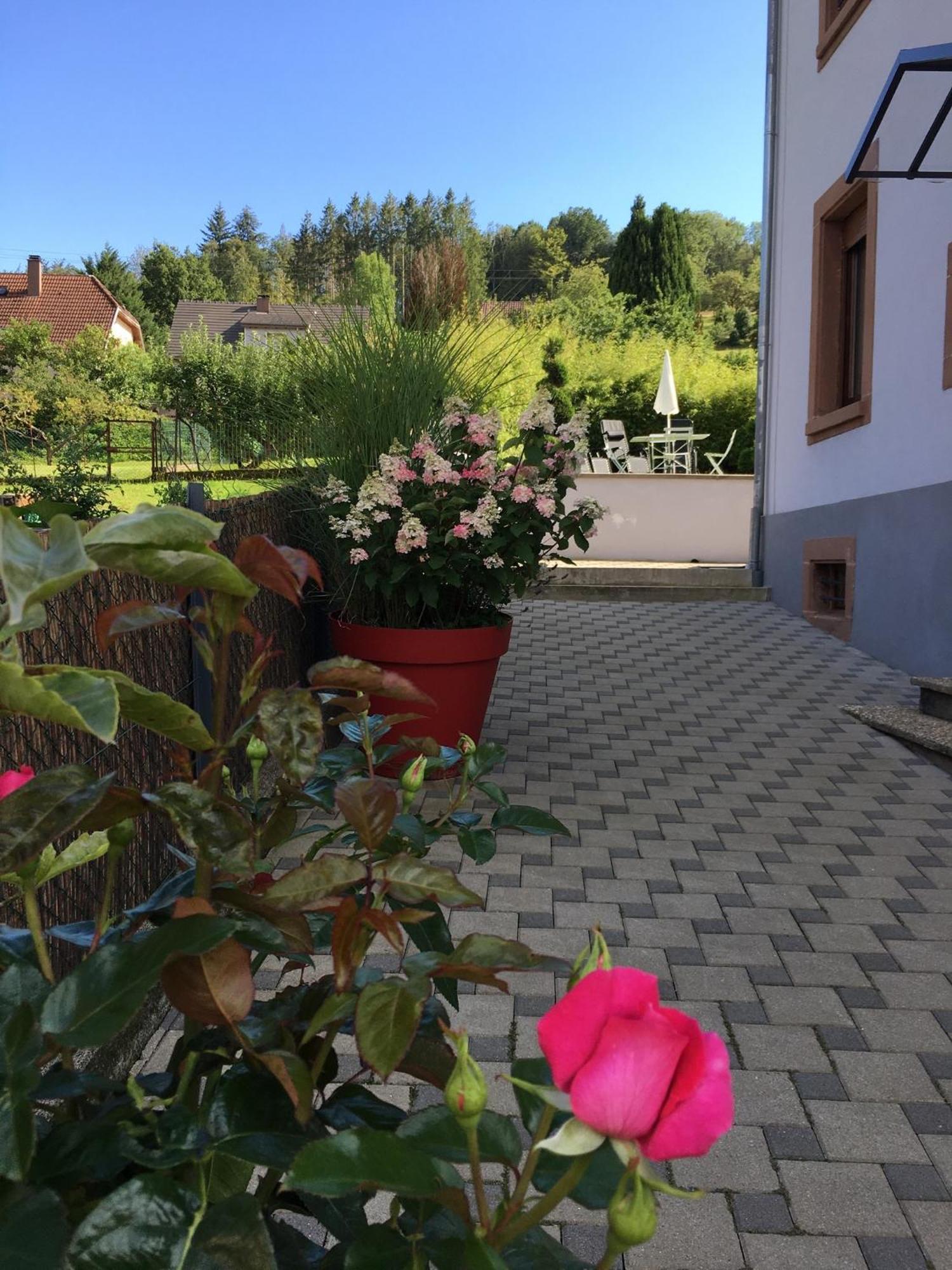 Les Magnolias En Alsace - Meuble De Tourisme 3 Etoiles Apartment Barembach ภายนอก รูปภาพ