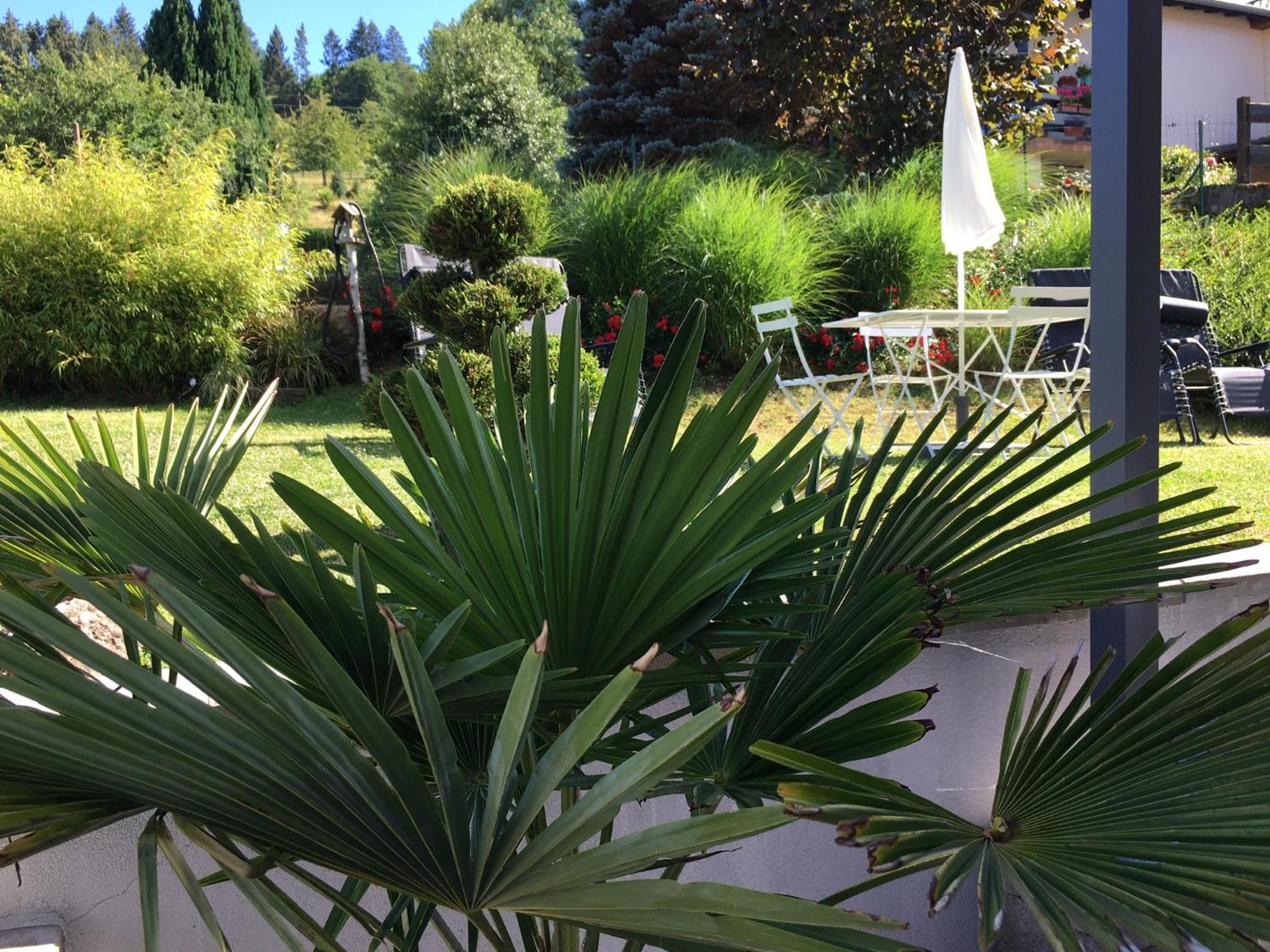 Les Magnolias En Alsace - Meuble De Tourisme 3 Etoiles Apartment Barembach ภายนอก รูปภาพ