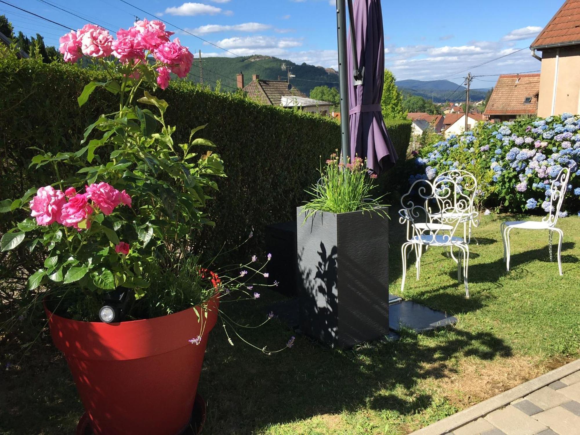 Les Magnolias En Alsace - Meuble De Tourisme 3 Etoiles Apartment Barembach ภายนอก รูปภาพ